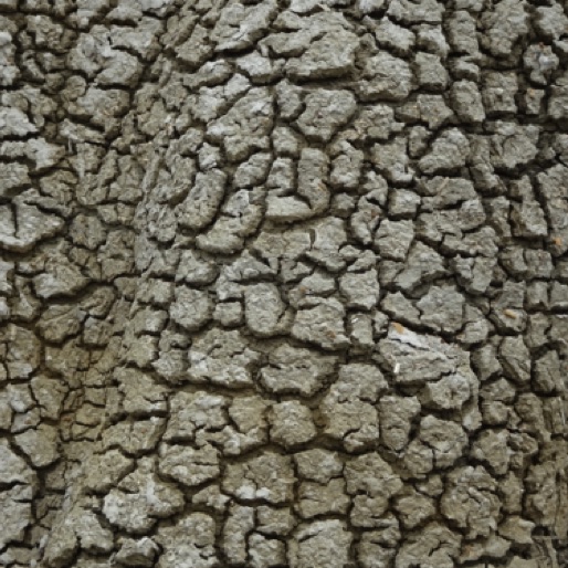 Closeup of rocks along the route